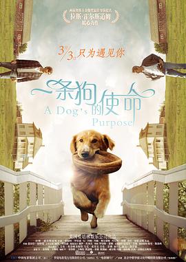 火车上和少妇做爰