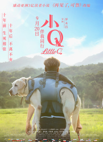 99久久99久久精品免观看
