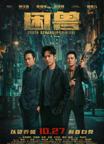scy5s官网登录入口
