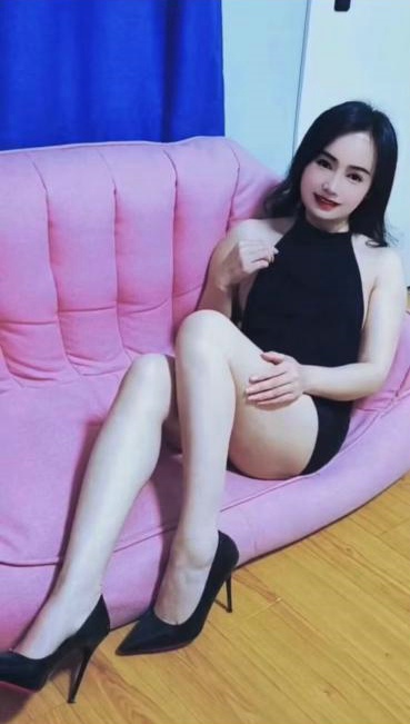 深圳龙岗区 狐狸