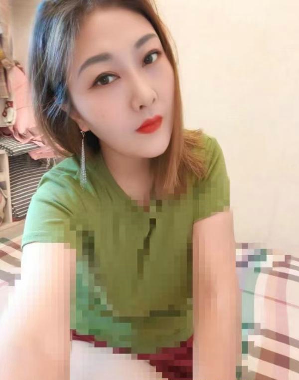 广州海珠区 黄咪