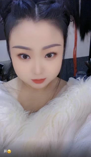 天津西青区 猫猫