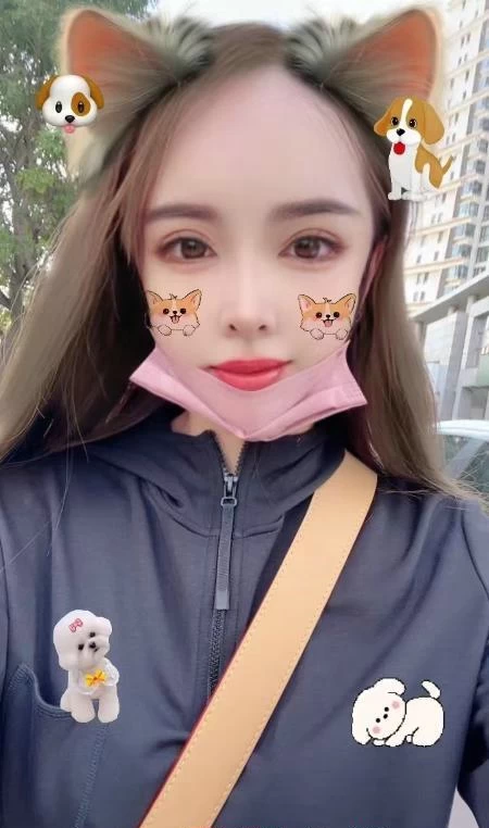 天津滨海新区 小燕子