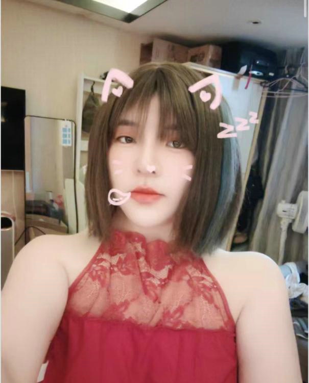 深圳市罗湖区 球球