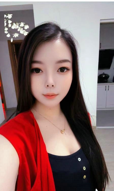 南京市浦口区 蔷薇