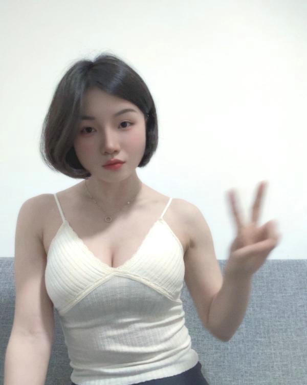 中山市古镇镇 土豆